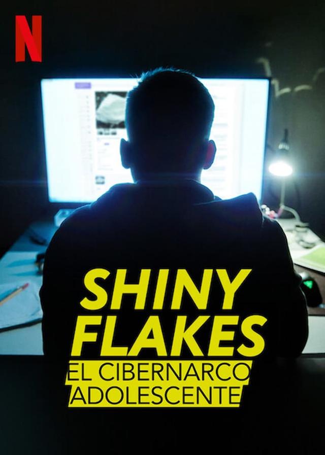 Shiny Flakes: El cibernarco adolescente