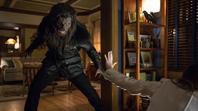 Grimm 4x12