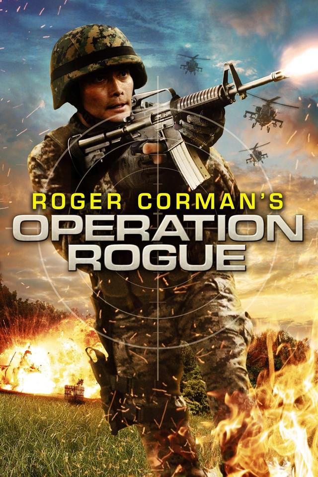 Operation Rogue